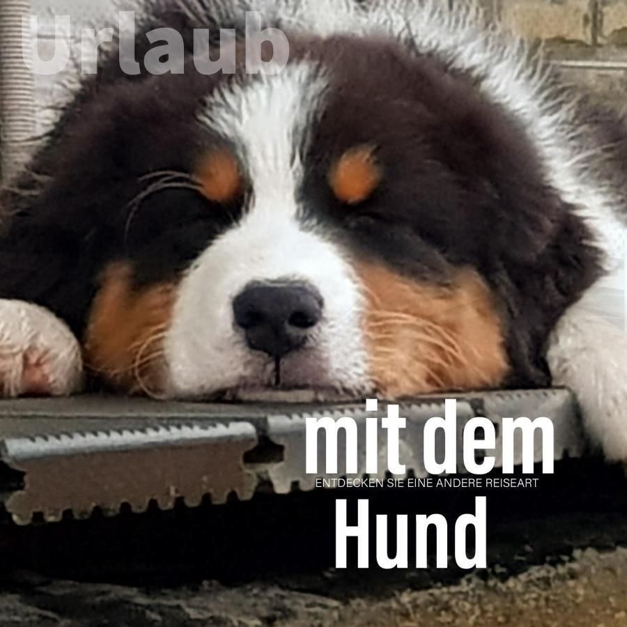 Der Seehof Heimbach Kültér fotó